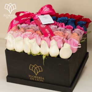 Caja 50 Rosas En Degradado