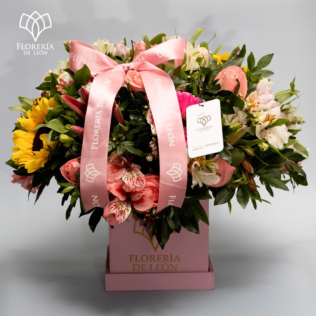 caja flor variada lila