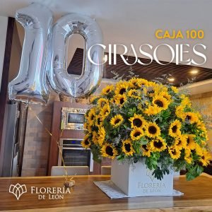 Caja 100 girasoles