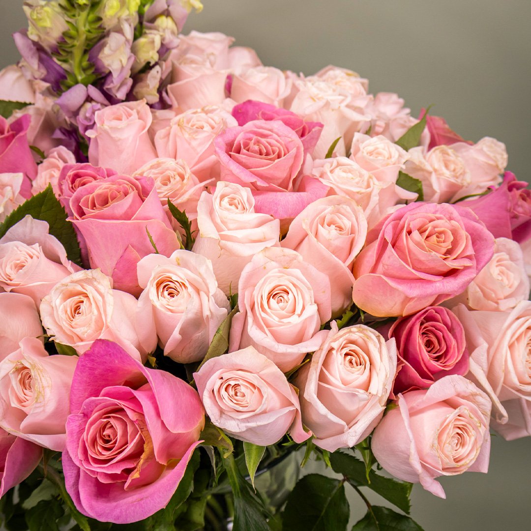 copa 100 rosas copia