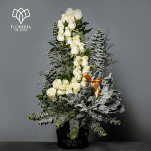 Escalera al Cielo premium