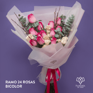 Ramo 24 Rosas Bicolor