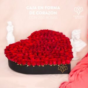 Caja 200 rosas en forma de Corazón