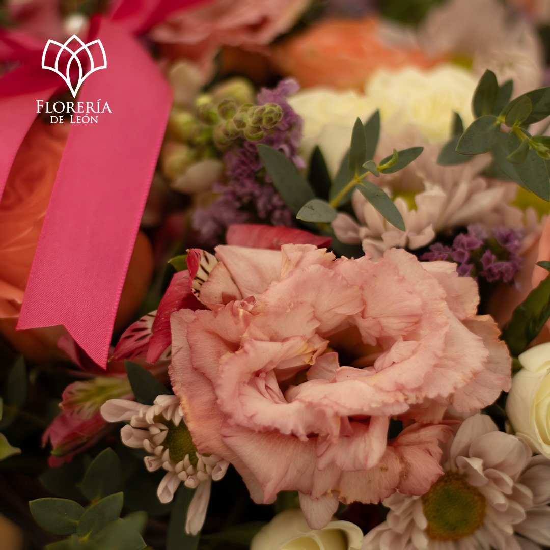 Mesa de trabajo 1 copia