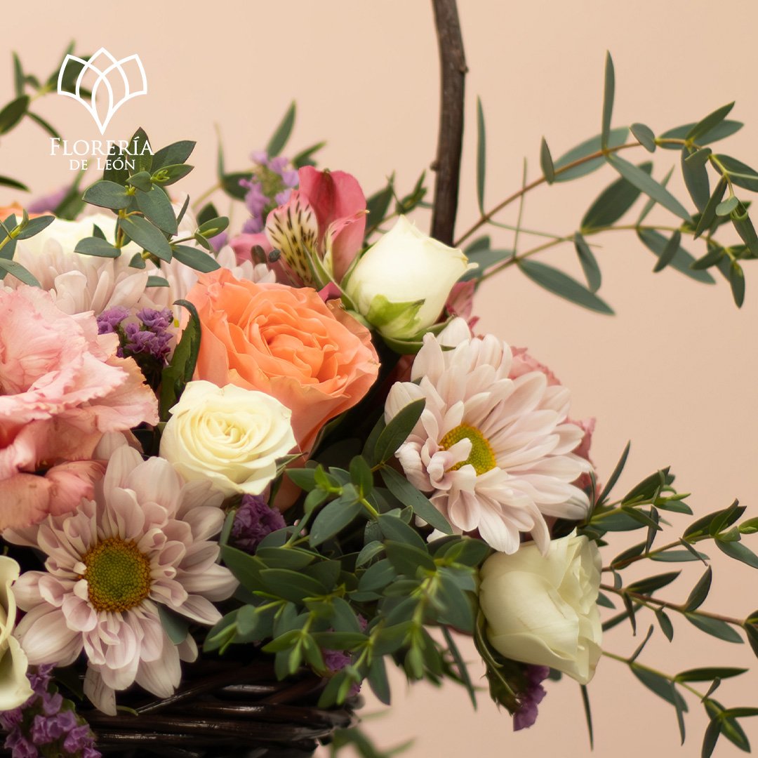 Mesa de trabajo 1 copia 2