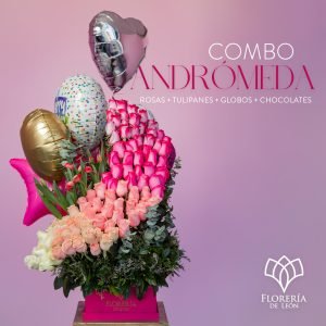 Combo Andrómeda