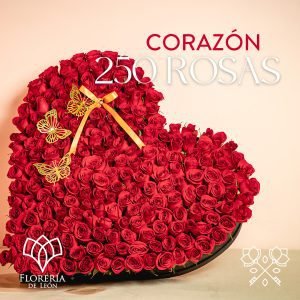 Caja 250 rosas en forma de corazón