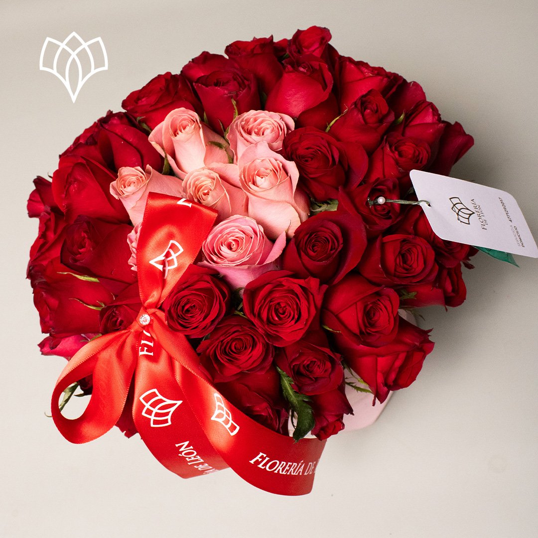 cariño mio bicolor copia 2