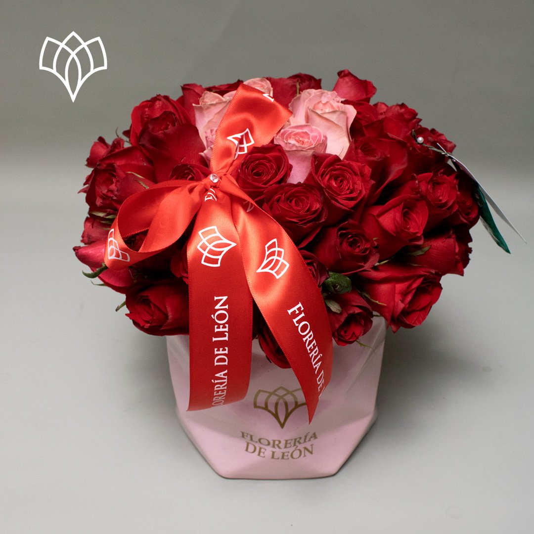 cariño mio bicolor copia