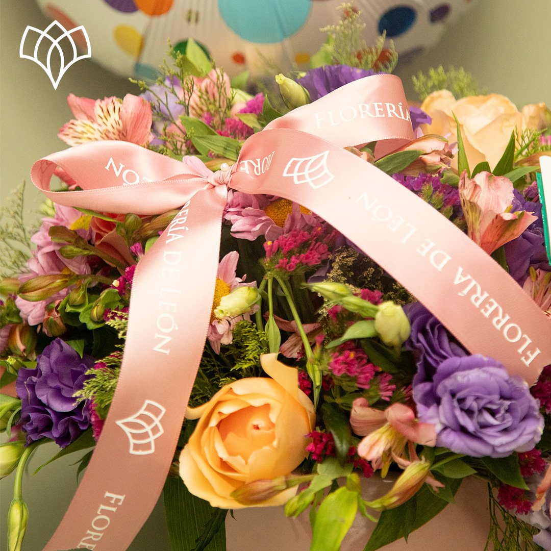 ALISON BÁSICO copia 2