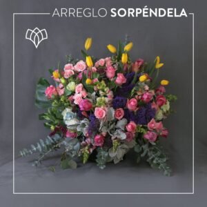 Arreglo Sorpréndela
