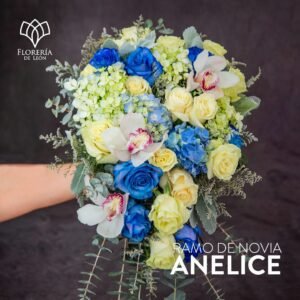 Ramo Anelice Premium
