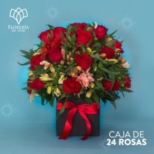 Caja 24 rosas rojas