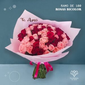 Ramo 100 rosas bicolor