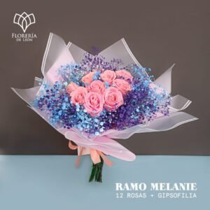 Ramo Melanie 12 rosas