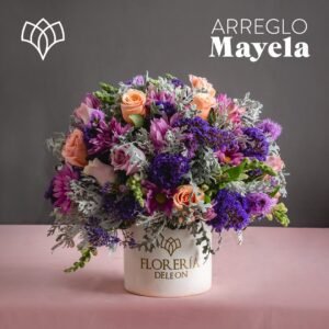 Arreglo Mayela