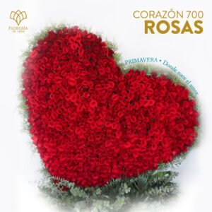 CORAZÓN DE 700 ROSAS