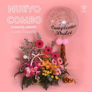 Combo canasta Jardín con Tulipanes