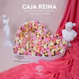 CAJA REINA