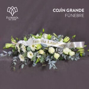 Cojín Grande Especial