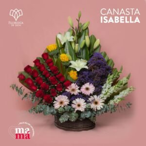 Canasta Isabella