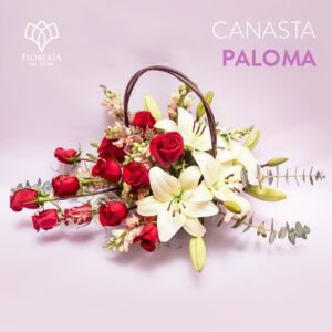 Canasta Paloma