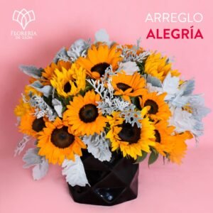 Alegría