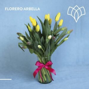 Arabella 30 Tulipanes