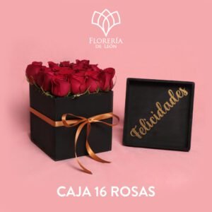 Caja de 16 Rosas