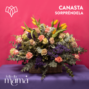 Canasta sorpréndela