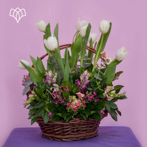 03_09_2023_post1.2 canasta con tulipanes