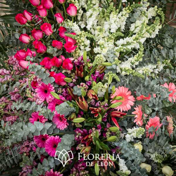 01_12_2023_FUNEBRE_POST2