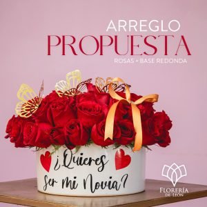 Arreglo Propuesta