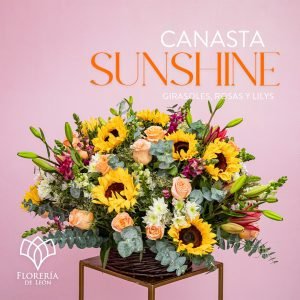 Canasta Sunshine