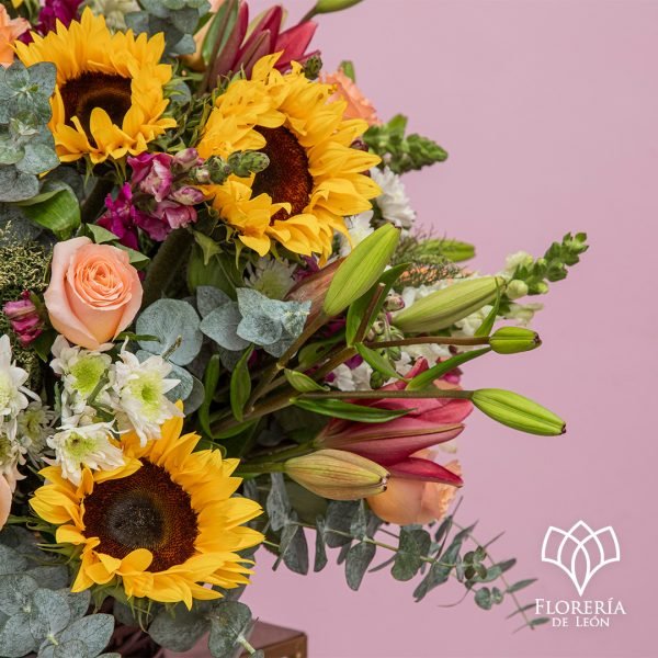 Canasta Sunshine_ copia-1