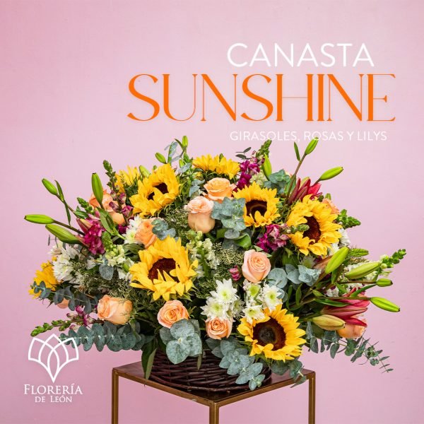 Canasta Sunshine_