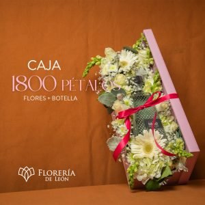 Caja 1800 Pétalos