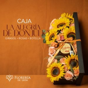 Caja Alegría de Don Julio