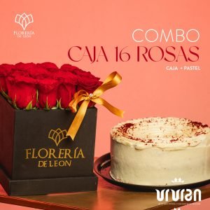 Combo caja 16 rosas + red velvet