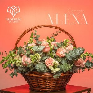 Canasta Alexa