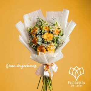 Ramo 6 gerberas amarillas