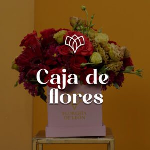 Cajas Florales