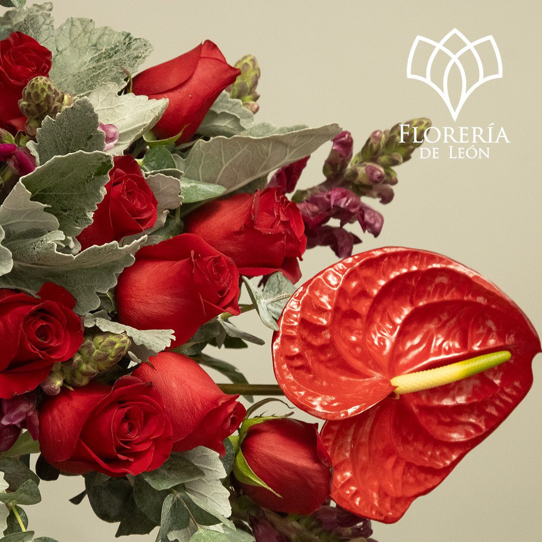 caja paulina 1 copia 2 (1)