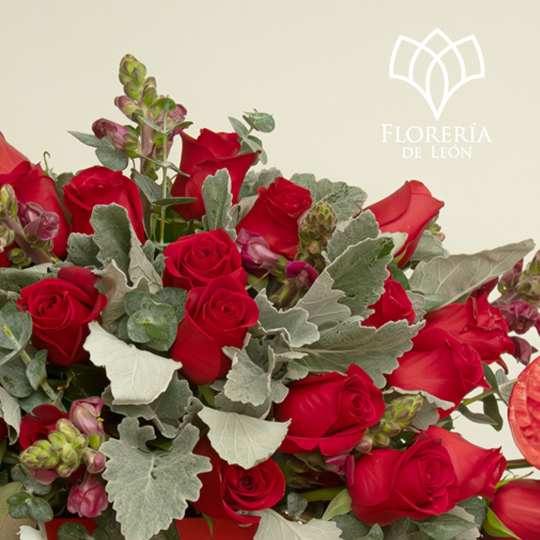 caja paulina 1 copia 3 (1)