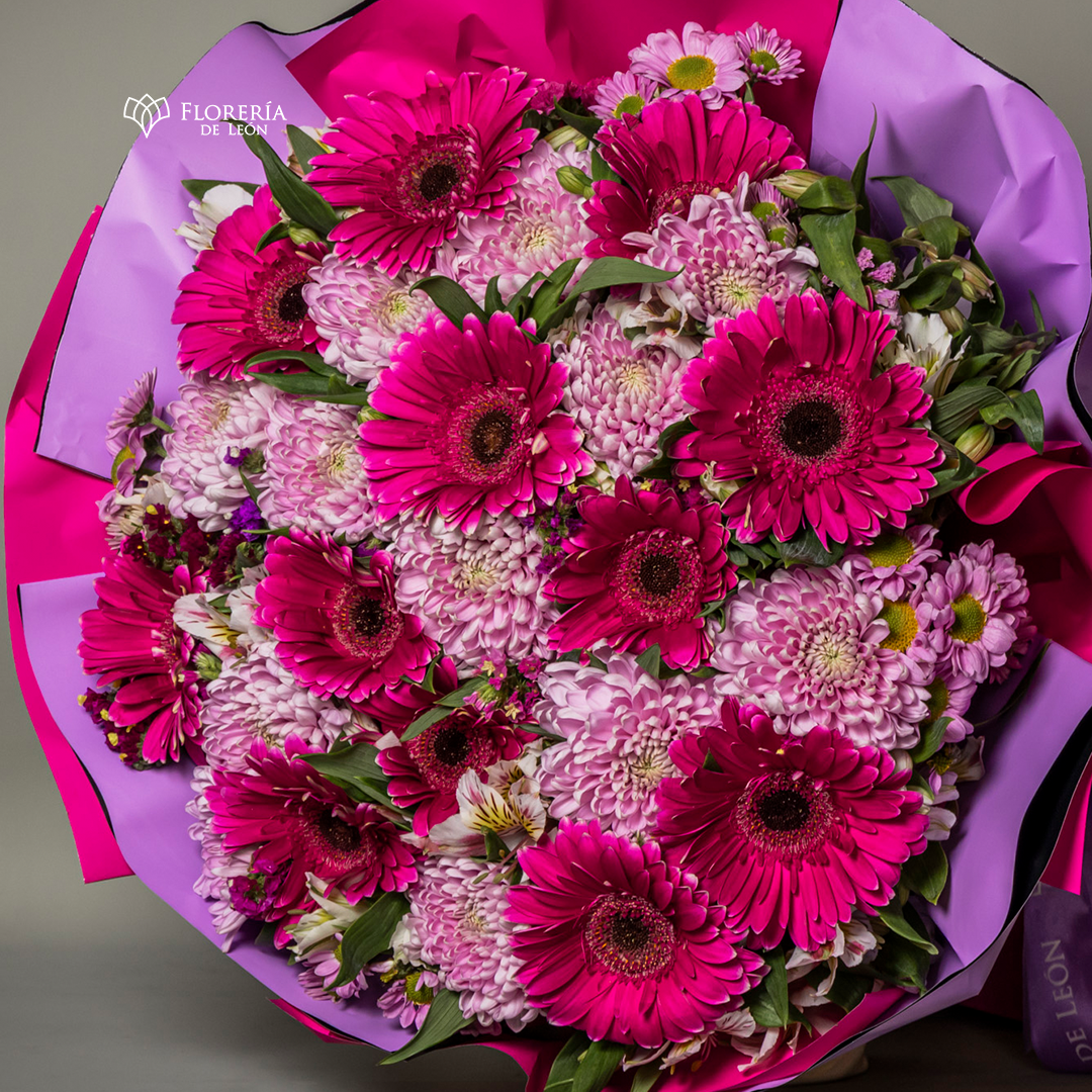 ramo gerberas y roxy 2