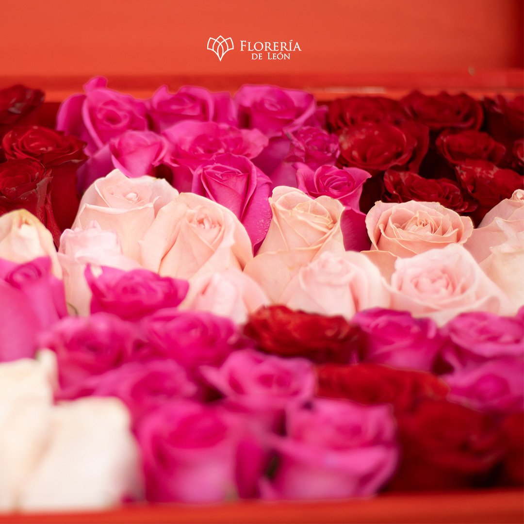 te quieres casar conmigo copia 2 (1)