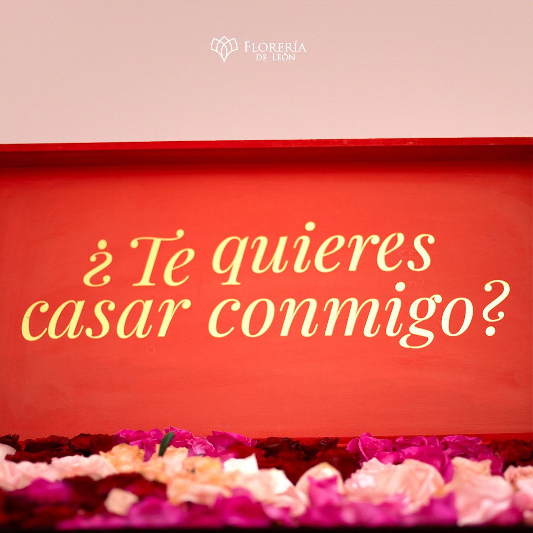 te quieres casar conmigo copia 3