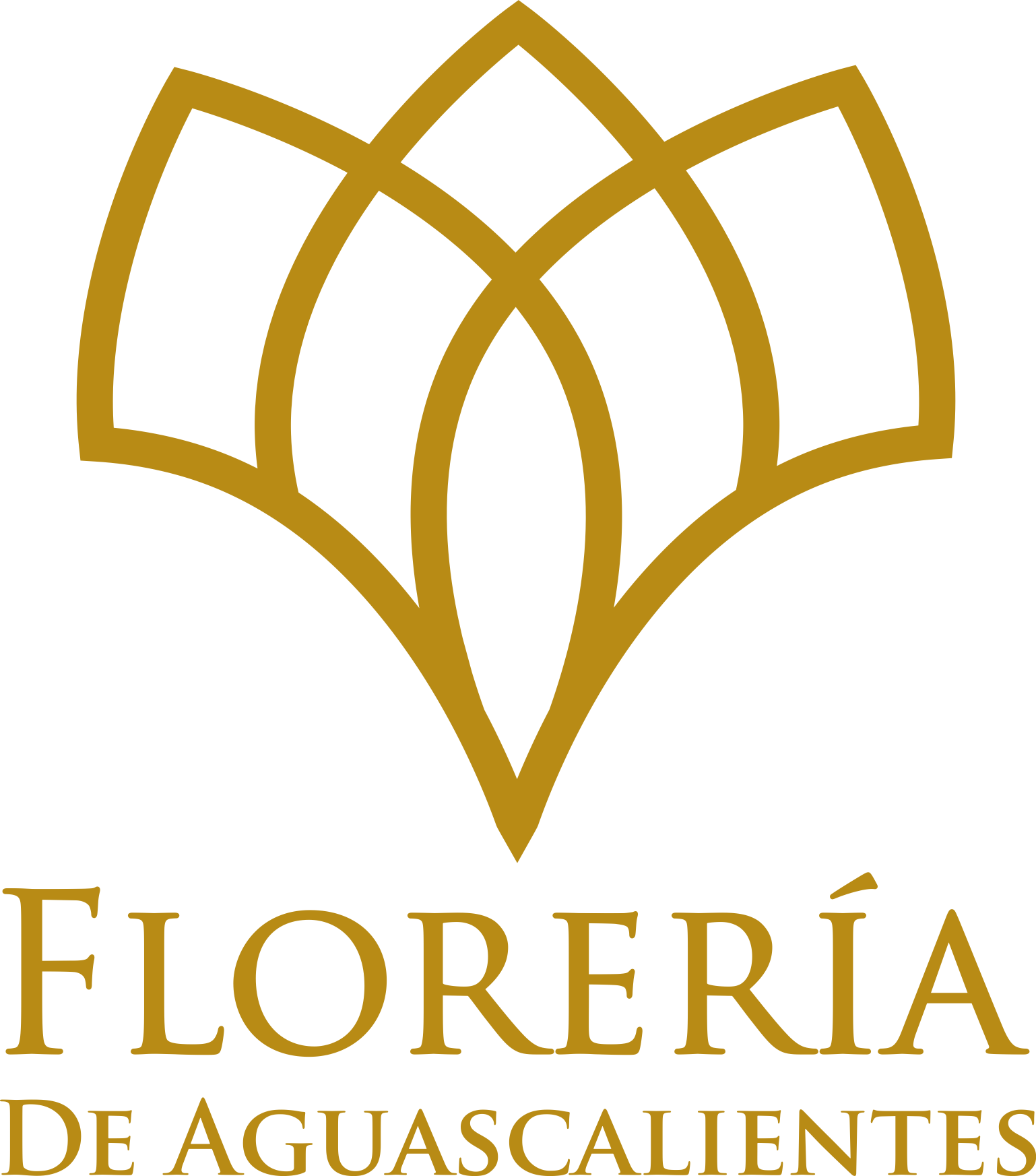 Floreria de Aguascalientes